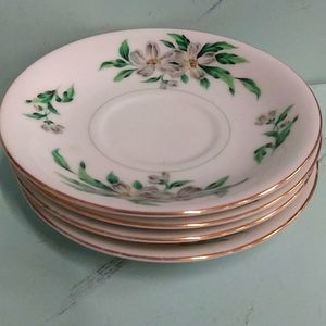 Fine China saucers. Desert Garden
